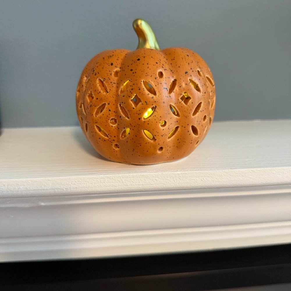 Decorative Orange Pumpkin with Gold Stem